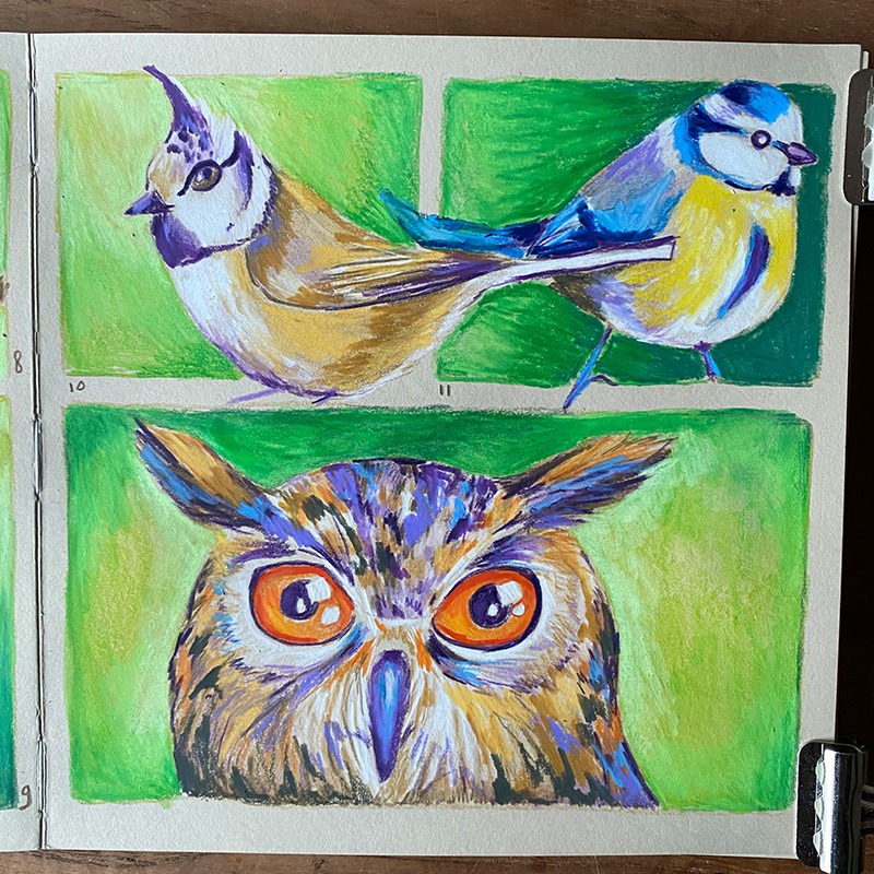 Page de carnet beige avec des portraits d’oiseaux côte à côte : une mésange huppée, une mésange bleue et un hibou aux grands yeux orange, sur un fond vert subtil.