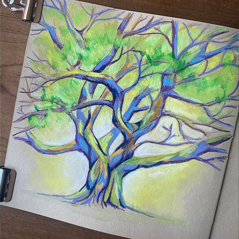 Dessin dans un carnet beige d’un arbre massif au tronc épais, avec un travail détaillé sur le feuillage et les branches. Les tons mauves et verts ajoutent de la profondeur et de la texture.