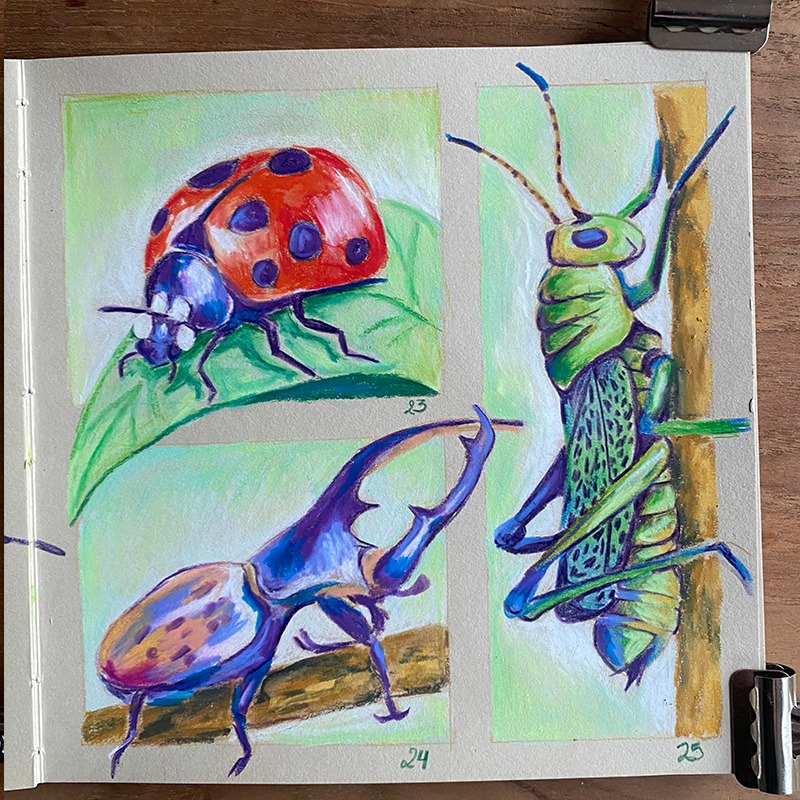 Page de carnet beige illustrant une coccinelle, une sauterelle et un scarabée rhinocéros, dessinés côte à côte. Les insectes colorés contrastent avec un fond vert clair, offrant une composition vivante et harmonieuse.