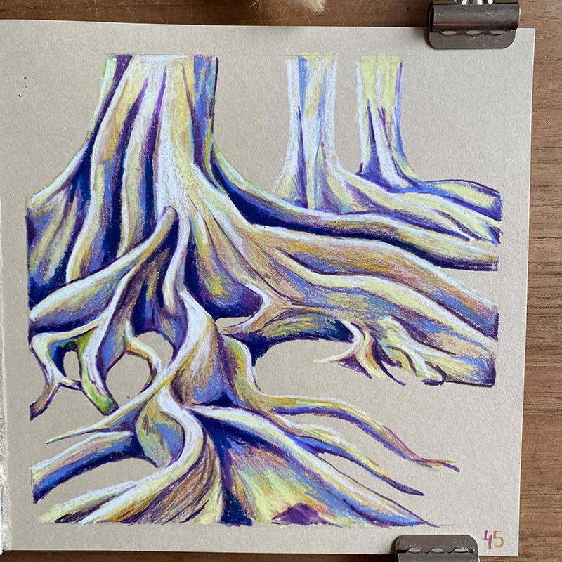 Illustration dans un carnet beige représentant des troncs et des racines entremêlés. Réalisée en techniques mixtes, elle explore les textures et les formes dans une palette de mauve, de bleu et de brun, créant une ambiance mystérieuse et organique.