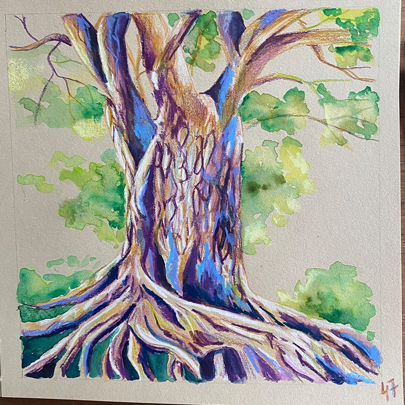 Illustration dans un carnet beige représentant un arbre avec un tronc imposant et de longues racines. Réalisée en techniques mixtes, elle met l'accent sur la texture, avec des teintes de brun, de mauve et de vert qui se mêlent harmonieusement.