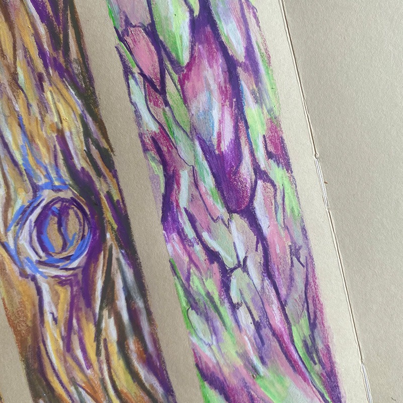 Illustration dans un carnet beige, réalisée en techniques mixtes (crayon, pastel à la craie). Représentation colorée d'un tronc d'arbre explorant les textures avec des nuances de vert et de rose, créant une ambiance vibrante et poétique