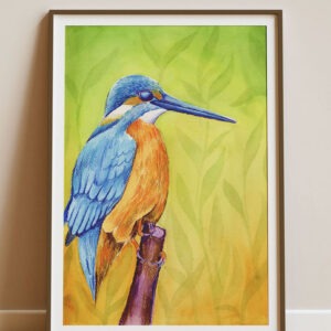 Illustration d'un martin-pêcheur, imprimée et encadrée dans un cadre bois.