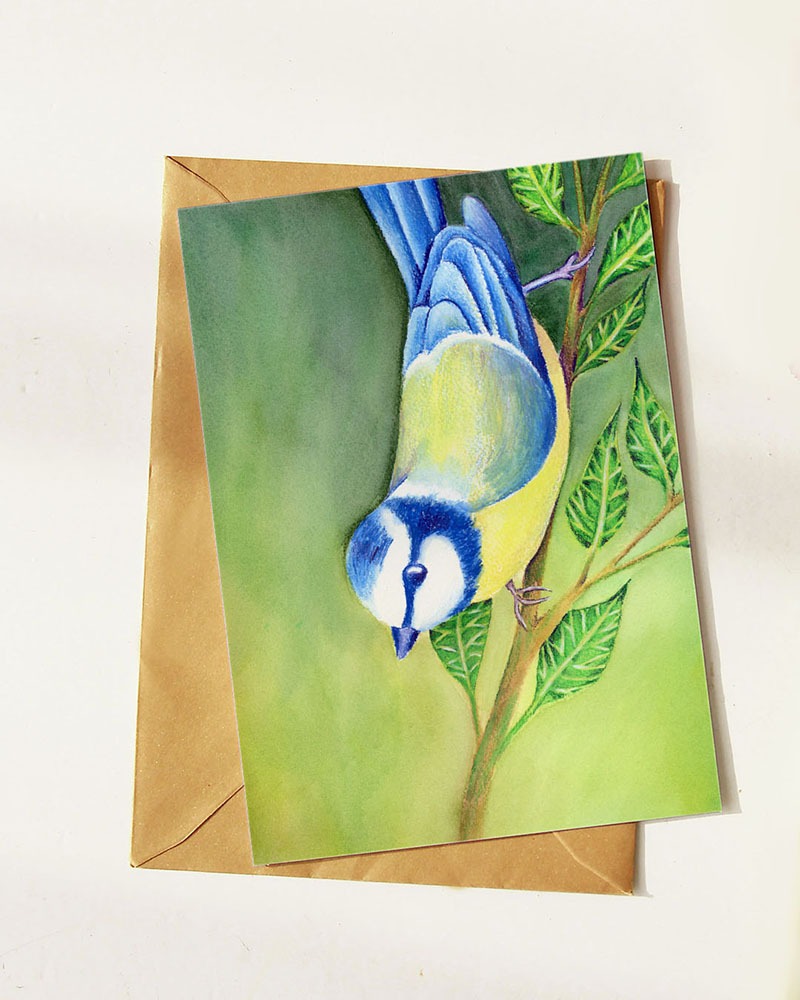 Illustration à l’aquarelle et aux crayons d’une mésange bleue au format carte postale